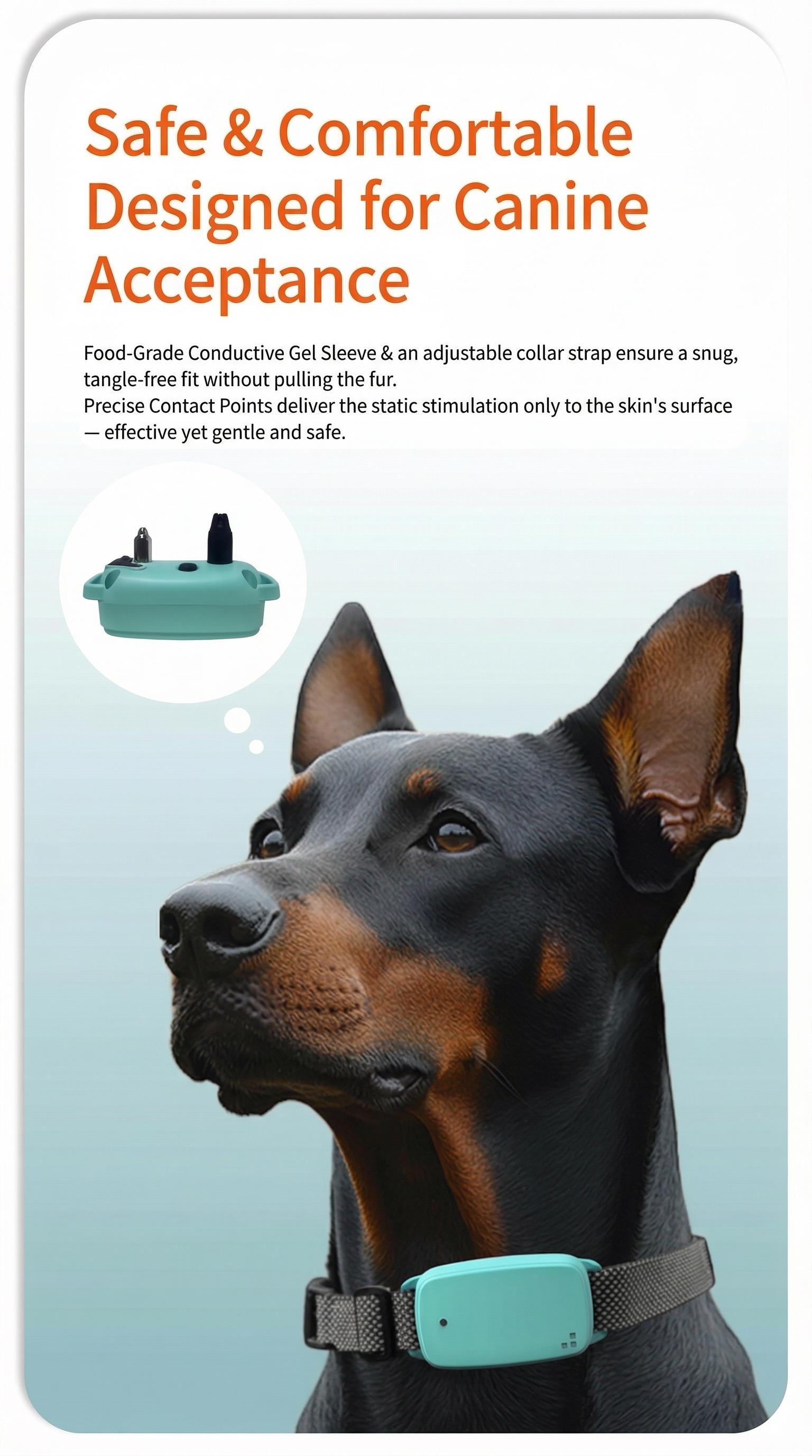 Dog Training Collar & Leash Set 3200ft Remote Control | IP67 Waterproof Built-in Light Magnetic Charging 30 Static 10 Vibration Modes for Dogs 10-120 lbs