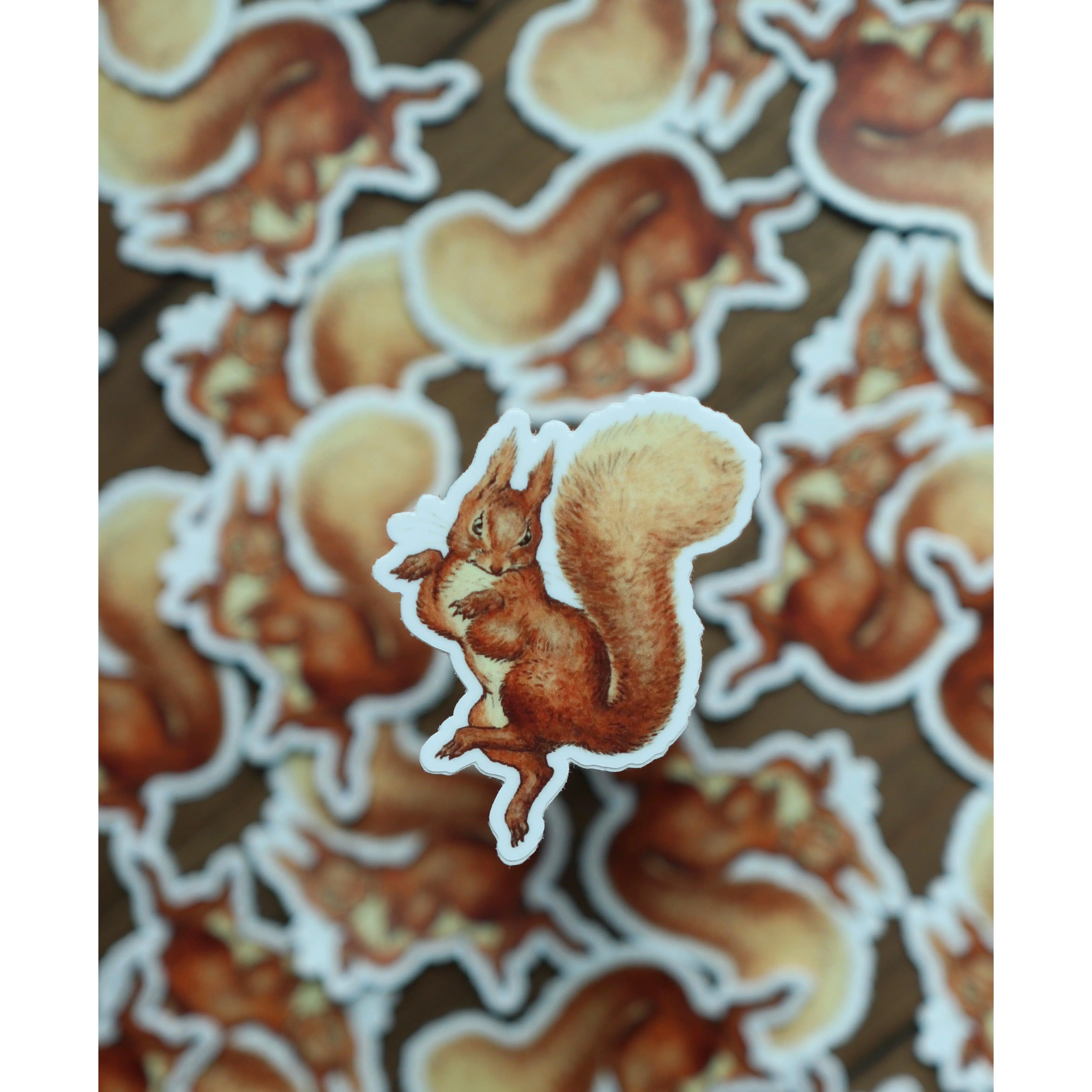 Sticker - Squirrel Nutkin