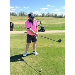 The Flamingo