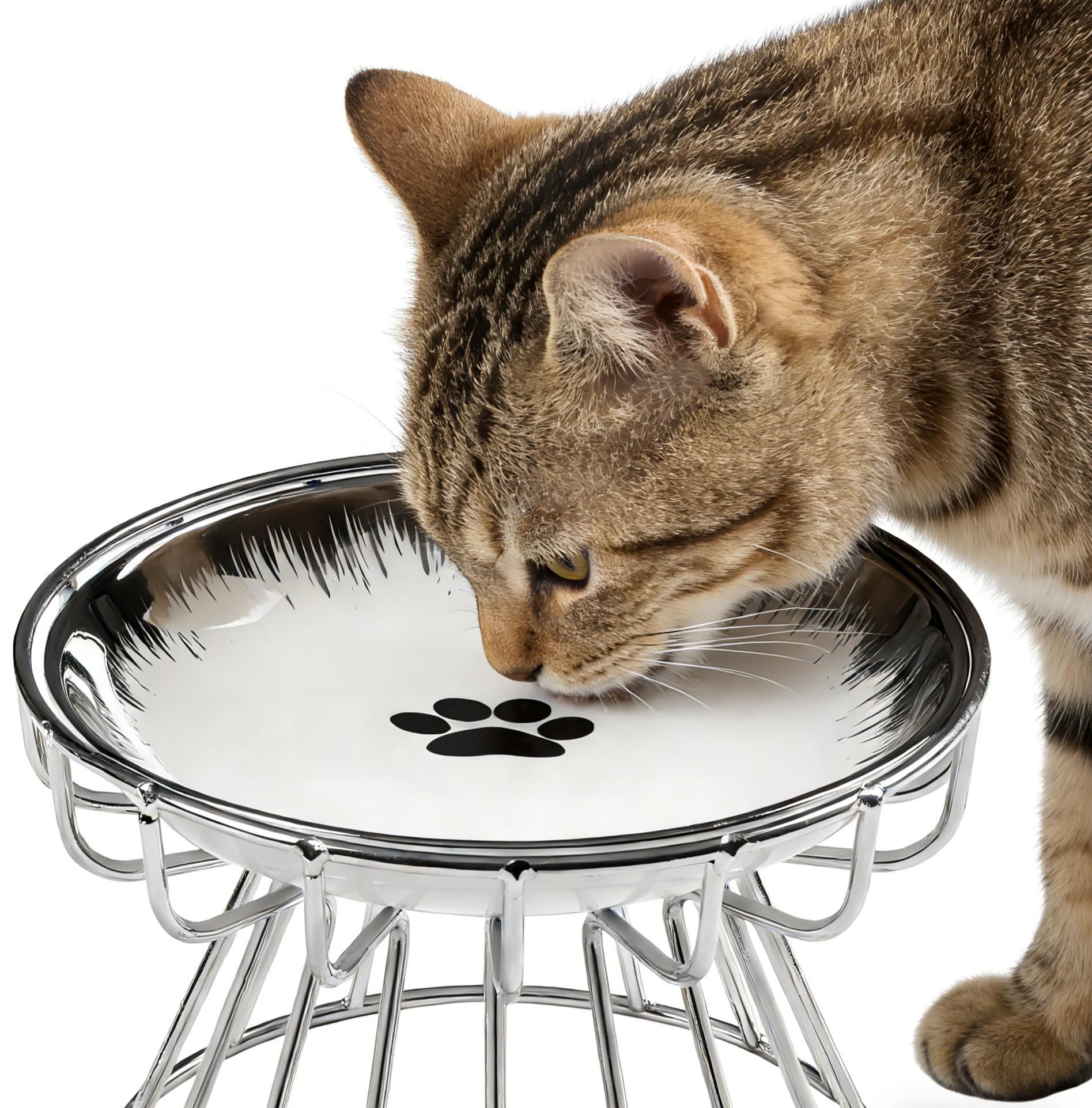 Elevated Cat Bowl,  Raised Ceramic Cat Dish , Whisker Friendly Pet Water or Food Plate Feeding Station for Indoor Cats, Kittens