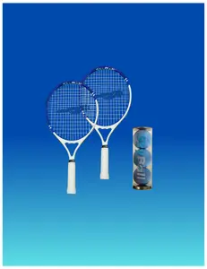 SkyBall Essentials Pro | Everything you need to play SkyBall on a pickleball court!