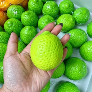 Green Lemon Crunchy Squishy Toy, Realistic Fruit Squeeze Ball with Crispy Bead Filling, ASMR Fidget Stress Toy for Desk, Gifts & Collectors