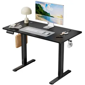 Electric Standing Desk with Memory Preset, Ergonomic Height Adjustable Table with T-Shaped Metal Bracket Modern Workstations