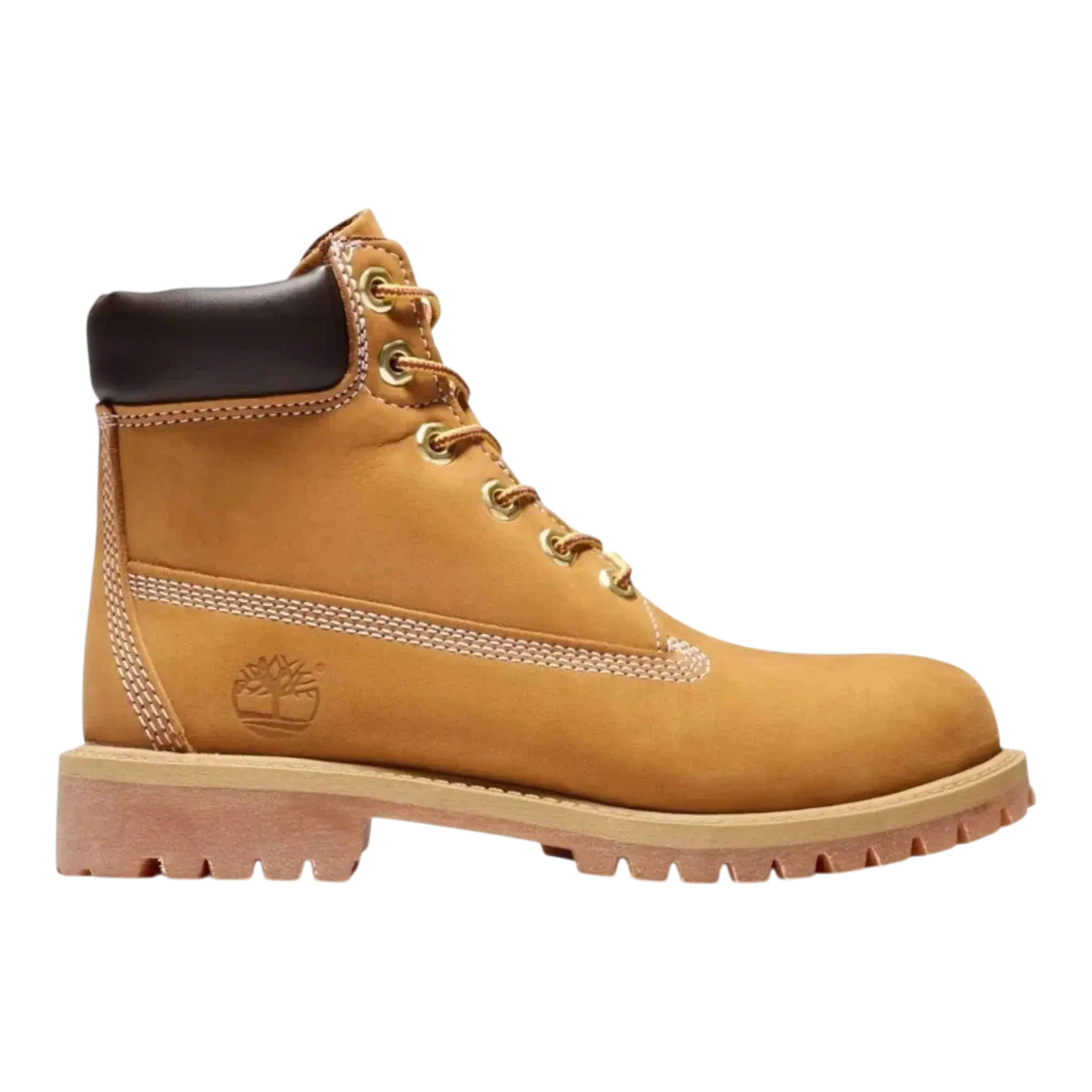 Timberland Junior Premium 6-INCH Waterproff Boot in Gs Wheat | Big Kids' (GS)