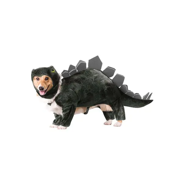 Stegosaurus Dog Costume