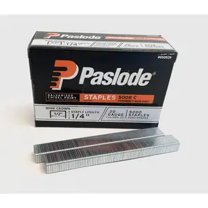 Duo  5008C 20 Gauge Galvanized Staple 1/2-Inch Crown x 1/4-Inch Length, 5000 Pack