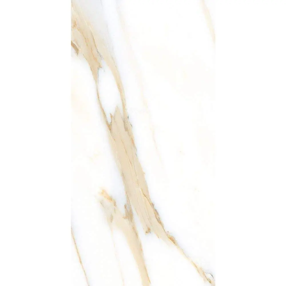 AGL Calacatta Gold Polished 12 x 24