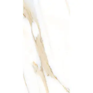 AGL Calacatta Gold Polished 12 x 24