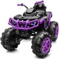 4WD Purple