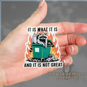 It Is What It Is, and It Is Not Great Dumpster Fire Sticker: Funny Racoon Decal