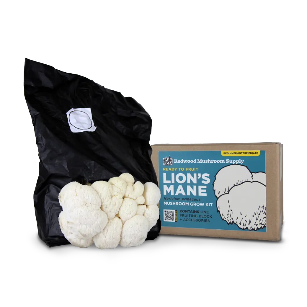 Lion's Mane Mushroom Grow Kit
