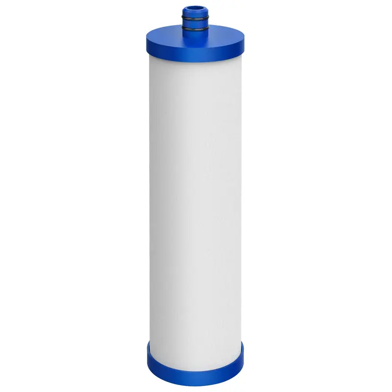EDR1RXD1 W10295370A 9081 Refrigerator Water Filter with Air Filter by