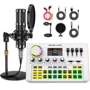 Y300 Audio mixer Podcast Equipment Bundle, Audio Interface with Cardioid Designer P15 Mic for Gamer and All-in-One DJ Mixer, Perfect for Live Streaming, Singing, YouTube, Gaming