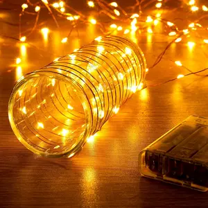 Ariceleo 1 Pack 16.4ft Battery Operated String Lights with Timer, Warm White with Synchronized Twinkle Mode, Fairy Lights Battery Powered, 50 LEDs, Idea for Christmas Bedroom Party Wedding