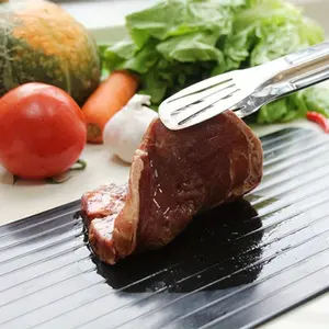 Small Frozen Meat Thawing Tray, Fast Natural Thaw Board for Kitchen BBQ & Food Preparation, Quick Meat Thawing Rack, Kitchen Gadget