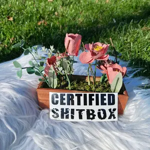 Car Decal Certified Shitbox