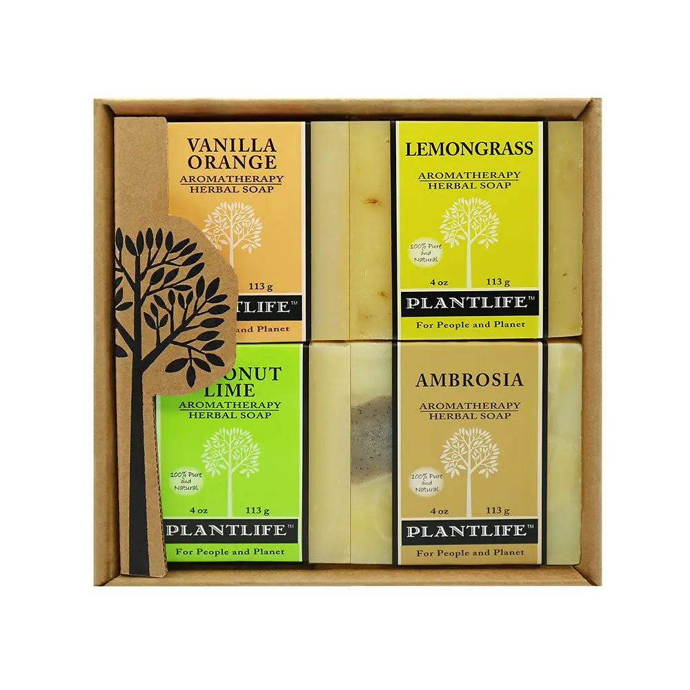 Plantlife Fruity Soap Gift Set – 4 Herbal Body Bars, Handmade & Plant-Based