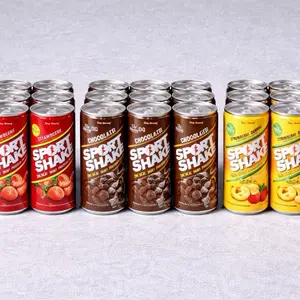 Sport Shake Protein Drink 24 Pack - Strawberry, Chocolate, Strawberry Banana Flavors 11oz Cans for Energy Boost
