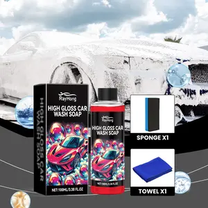 Rayhong Foaming Car Wash Car Cleaning Mild Degreasing Foam Dust Refinishing Shine Cleaner