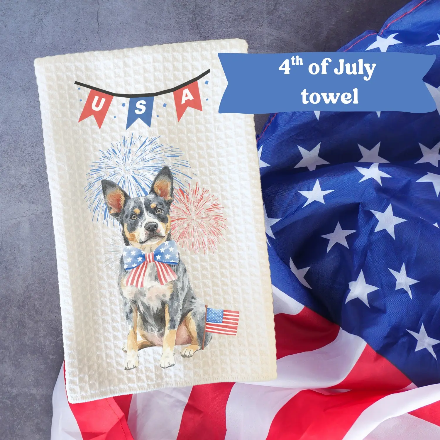 Australian Cattle Dog (BLUE HEELER)