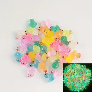 Glow in the Dark Mini Duck Resin No Power Black Duck Party Decor Pool Ornament Cute Cool Night Light Decoration Magic Theme Toy Filled Gift Animal Figurines