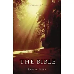 USED-NIV, Holy Bible, Larger Print, Paperback, Brown by Biblica (Paperback)