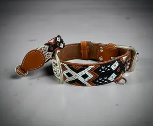 Auggie Collar
