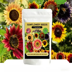 Rare Mixed Color Sunflower Seeds 1000+pcs, 7 Varieties Giant Skyscraper Heirloom Non-GMO USA Grown, Ideal for Outdoor Gardens with Beautiful Blooms & Pollinator Friendly Design