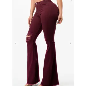 Lainey High Waisted Flare Distressed Jeans