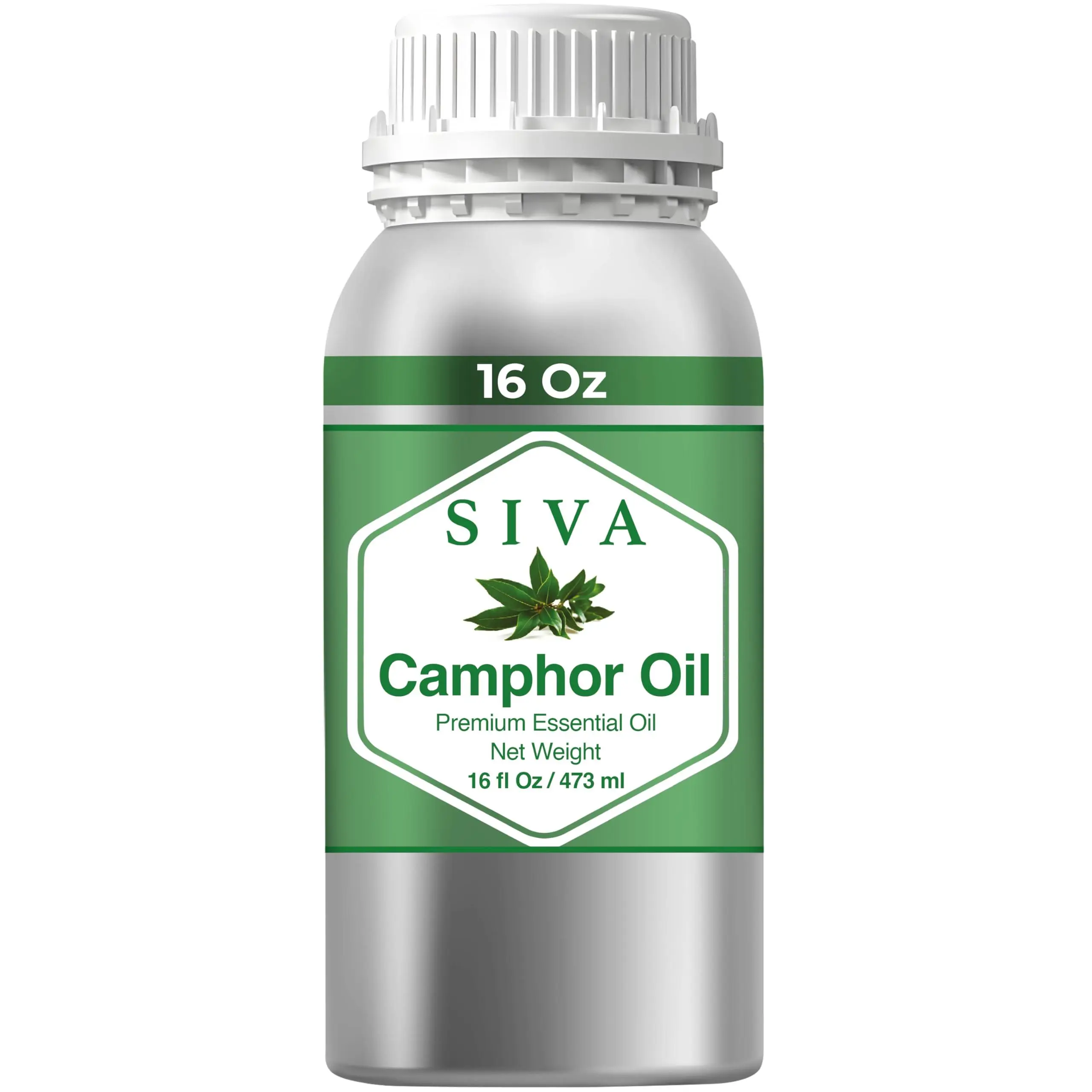Siva Camphor Essential Oil - 16 Fl Oz Pure Natural Oils, Health Aid, Therapeutic Skin Care, Aromatherapy Diffuser Use, Soap & Candle Making, Pure Oils