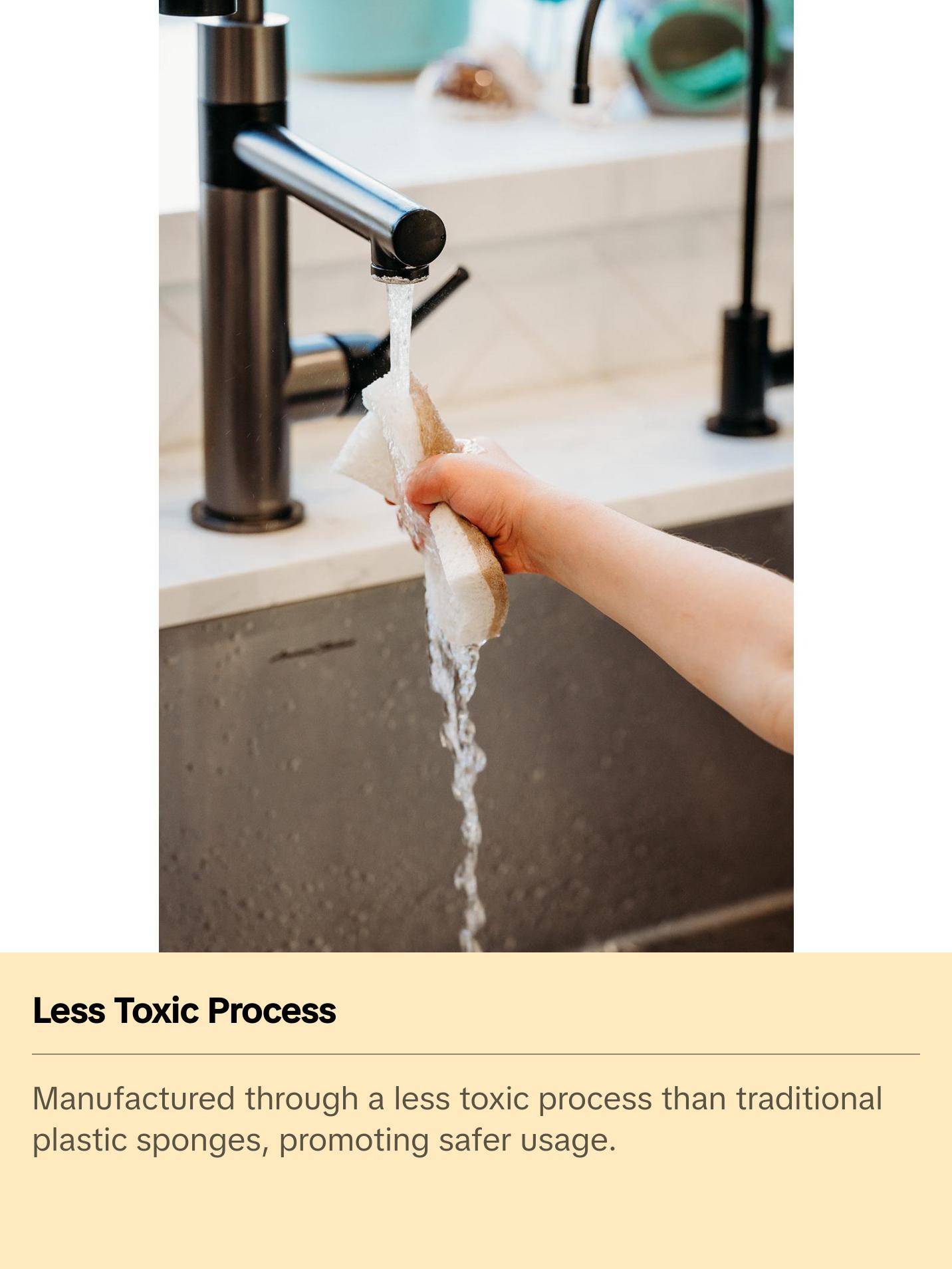 Biodegradable Sponges