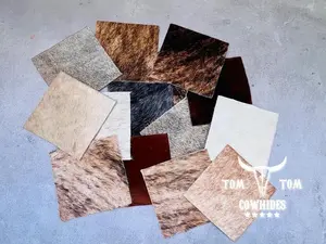 Hide Scrap Leather Hair on hide Remnant 15 Pieces of Approx. 6 X 6