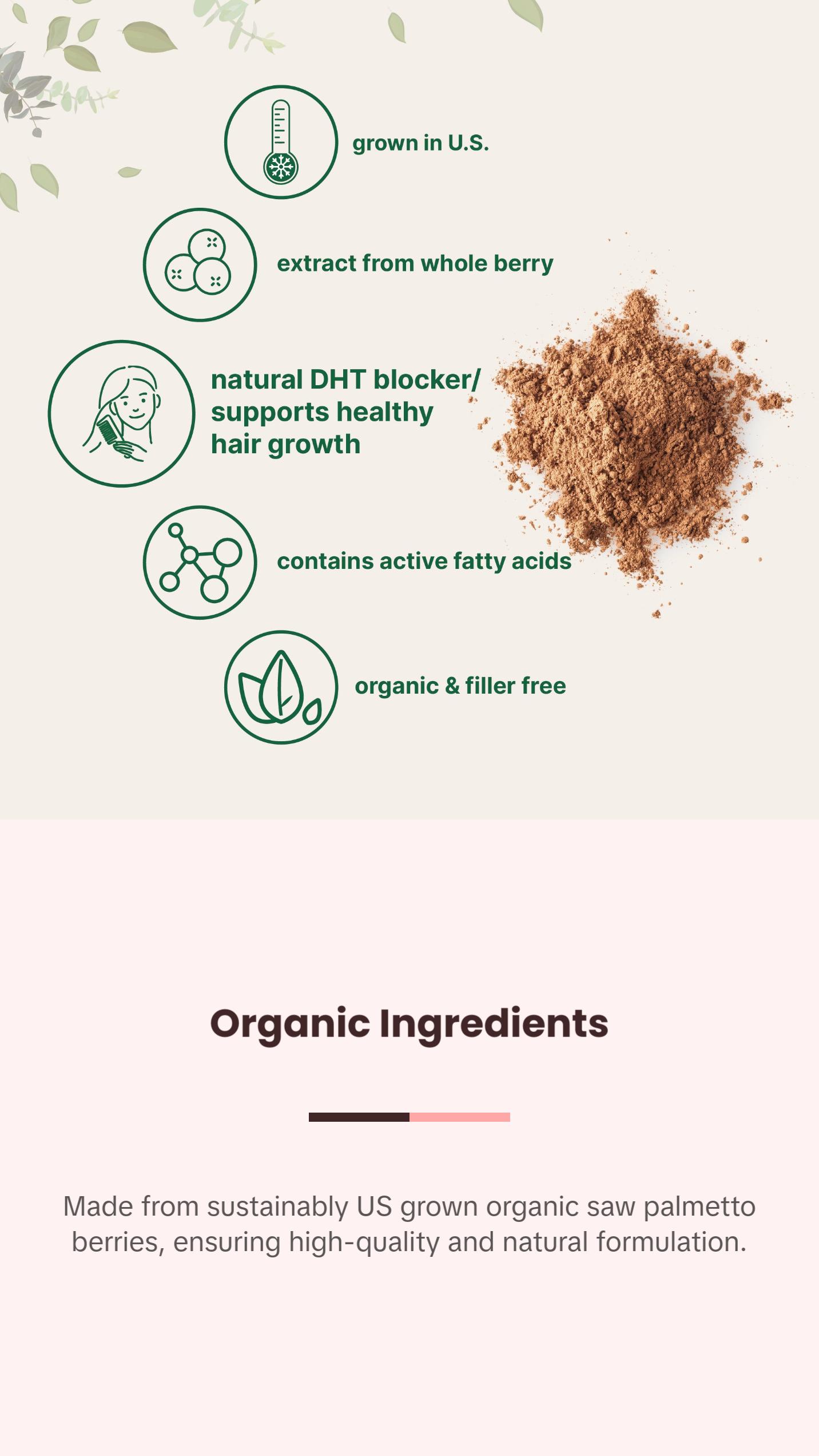 Micro Ingredients Organic Saw Palmetto Powder