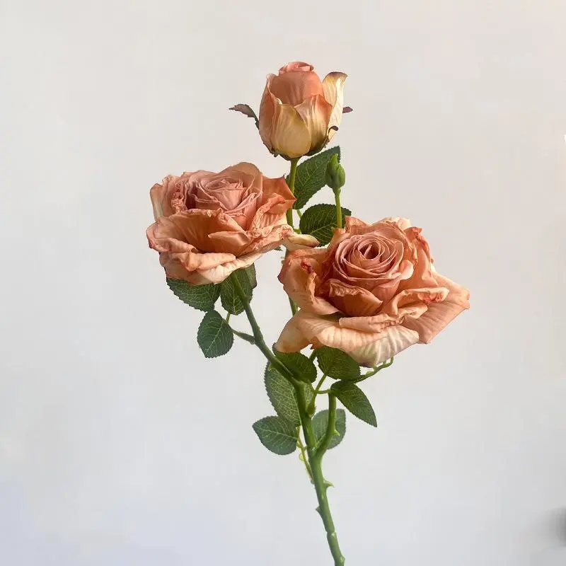 Brown Retro 3-Head Rose