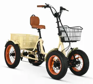 ANYterrain Stabilized 4 Wheel Electric Bike  OPEN BOX RETURN
