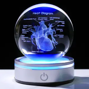 3D Heart-Shaped Model Crystal Ball Doctor Gift, Cardiologist Gift Suitable for Men and Women, with Color Led Holder, Medical Statue Suitable for Psychology Graduation, Christmas Heart-Shaped Anatomy Art Decoration