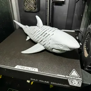 3D Printed Flexi Great White Shark!