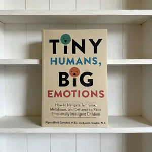 Understanding Emotions, Accepting Kids' Natural Feelings, Teaching Kids to Gently Manage Emotions, Book on Child Psychology