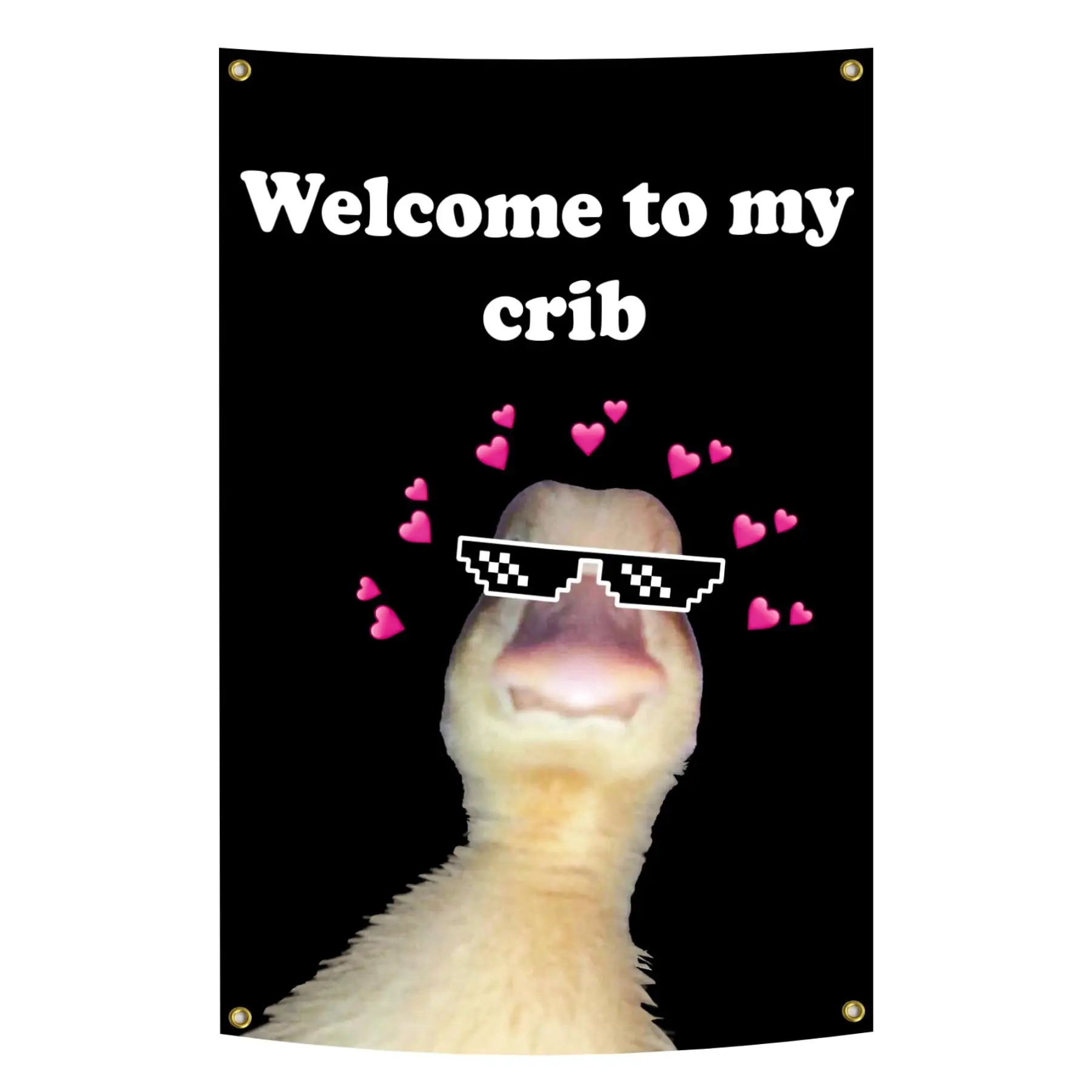 Welcom to My Crib Flag Tapestry 2X3 FT Funny Flags Welcome to My Crib Duck Flag Dorm Decor Wall Banner Poster with Brass Grommets For College Dorm
