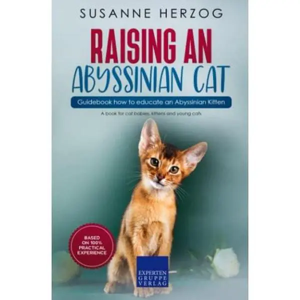 USED-Raising an Abyssinian Cat – Guidebook how to educate an Abyssinian Kitten: A book for cat babies, kittens and young cats by Susanne Herzog (Paperback)