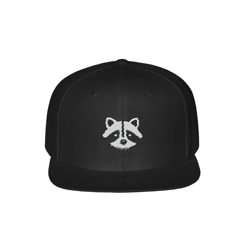 logo snapback hats