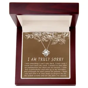 I am Sorry Gift, Sorry Card, Apology Necklace, Sorry Gift for Girlfriend Wife Friend, Forgive Me Jewelry, Sorry Partner, I am Truly Sorry