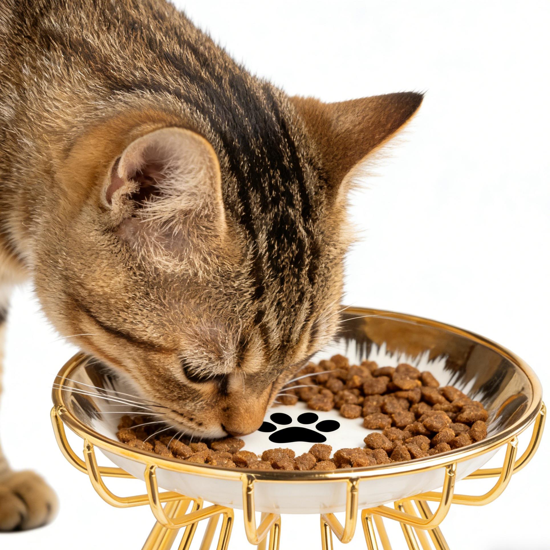 Elevated Cat Bowl,  Raised Ceramic Cat Dish , Whisker Friendly Pet Water or Food Plate Feeding Station for Indoor Cats, Kittens