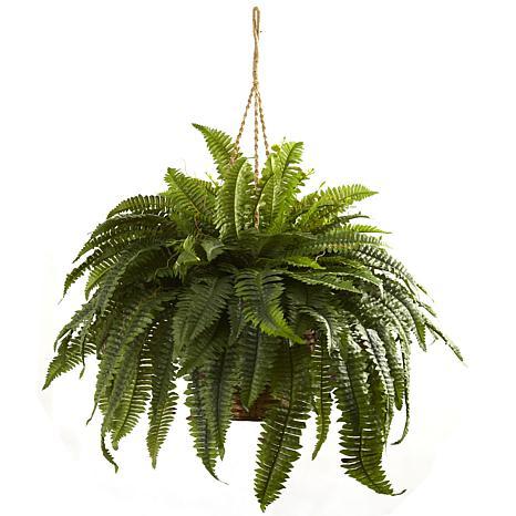 Nearly Natural Double Giant Boston Fern Hanging Basket