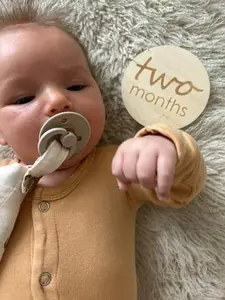 Baby Monthly Milestone Photo Prop Cards (24 milestones)