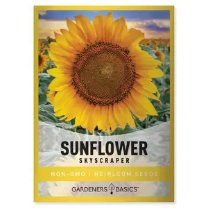 Skyscraper Sunflower Seeds