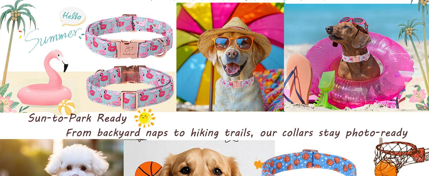 Babole Pet Basketball Dog Collar with Metal Buckle for Small, Medium & Large Dogs, Adjustable Cotton Heavy Duty Puppy Girl Boy Accessory