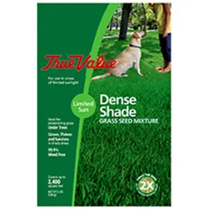 212 MAIN Barenbrug USA 212652 TV Shade-Tolerant Grass Seed Mixture, 3LB High-Quality Fine Fescues, Overseeds Lawns
