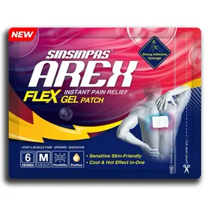 Arex Flex Pain Relieving Patch, 2 Pack (12 Patches), Strong Adhesion, Powerful Cool & Hot Dual Effect Healthcare Fitness Treatment Therapy Healthy Solution