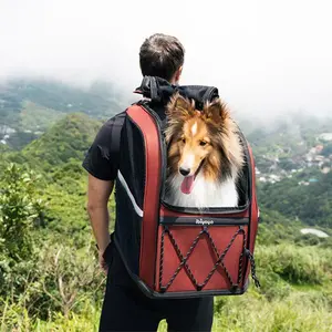 Ibiyaya Champion Large Dog/Cat Carrier Backpack with Window 3-in-1 Travel Backpack & Car Seat Booster